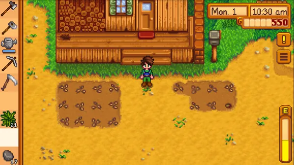 Home 14 I sowed the seeds