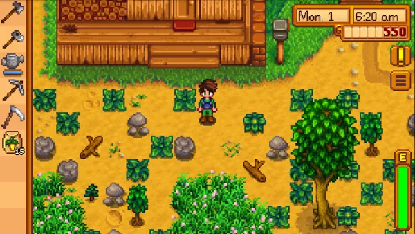 Home 11 My farm is overgrown with grass rocks and trees